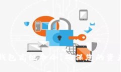 深入探索虚拟币钱包高级命令，确保您的资产安