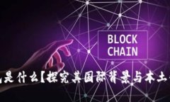 TP钱包是什么？探究其国际背景与本土化优势