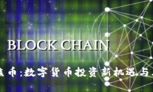 虚拟灰熊币：数字货币投资新机遇与风险解析