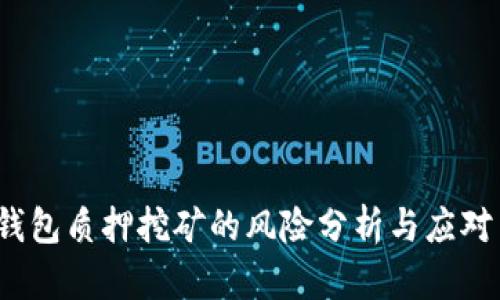  tp钱包质押挖矿的风险分析与应对策略