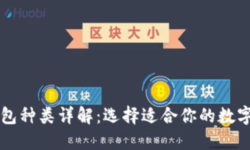 虚拟币钱包种类详解：选择适合你的数字货币钱包