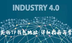 如何找回丢失的TP钱包地址：详细指南与常见问题