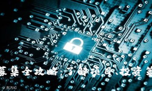 人人网虚拟币募集全攻略：了解项目、投资策略与未来趋势