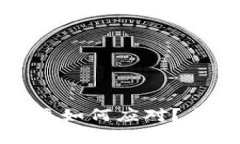 TP钱包下架后用户该如何应对？全面解析与应对策