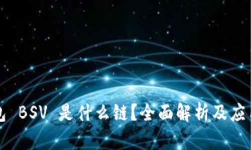 TP钱包 BSV 是什么链？全面解析及应用介绍