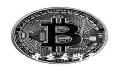 如何在TP钱包中查看购买币种的单价？