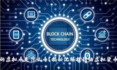 : 沈腾说的虚拟币是什么币？揭秘沈腾提到的虚拟货币背后真相