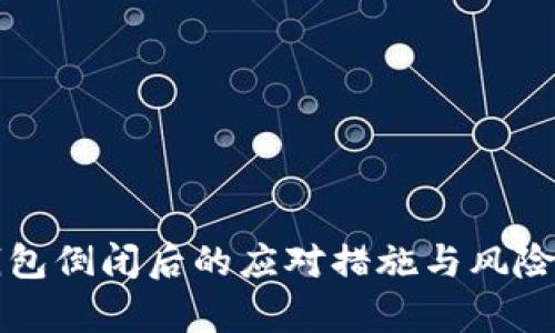 TP钱包倒闭后的应对措施与风险分析