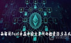 全面解析Fuel币在币安交易所的投资潜力与风险