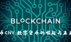 虚拟币CNY：数字货币的崛起与未来展望