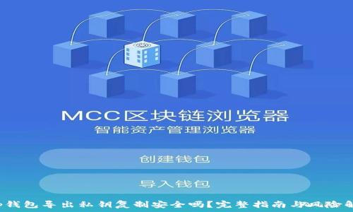   
t p钱包导出私钥复制安全吗？完整指南与风险解析