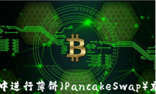 
如何在TP钱包中进行薄饼（PancakeSwap）充值与兑换指南