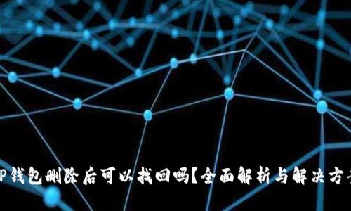 TP钱包删除后可以找回吗？全面解析与解决方案