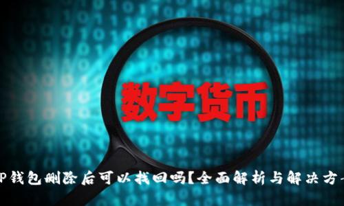 TP钱包删除后可以找回吗？全面解析与解决方案