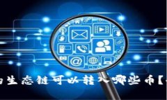 TP钱包的生态链可以转入哪些币？全面解析