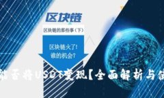 TP钱包能否将USDT变现？全面解析与使用指南