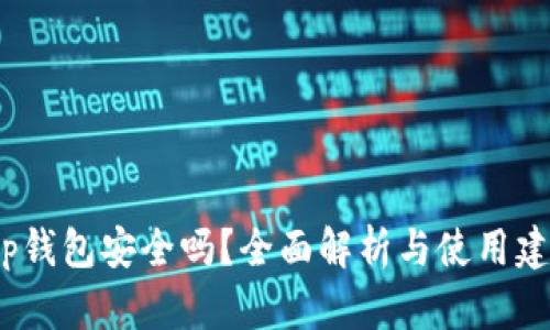 t p钱包安全吗？全面解析与使用建议