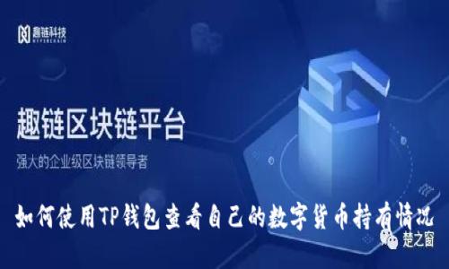 如何使用TP钱包查看自己的数字货币持有情况