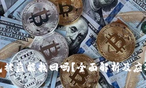 TP钱包被盗能找回吗？全面解析及应对措施