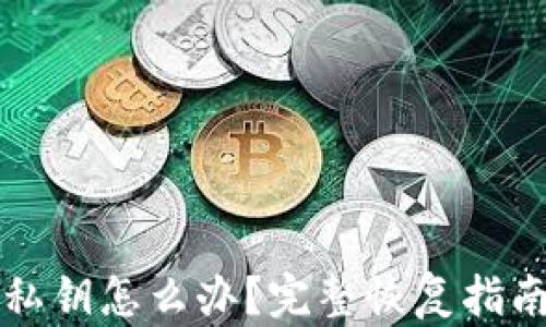 
忘记TP钱包私钥怎么办？完整恢复指南及解决方案